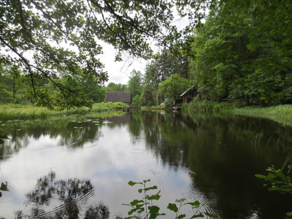 Mizarai Mill House Villa Druskininkai Dış mekan fotoğraf